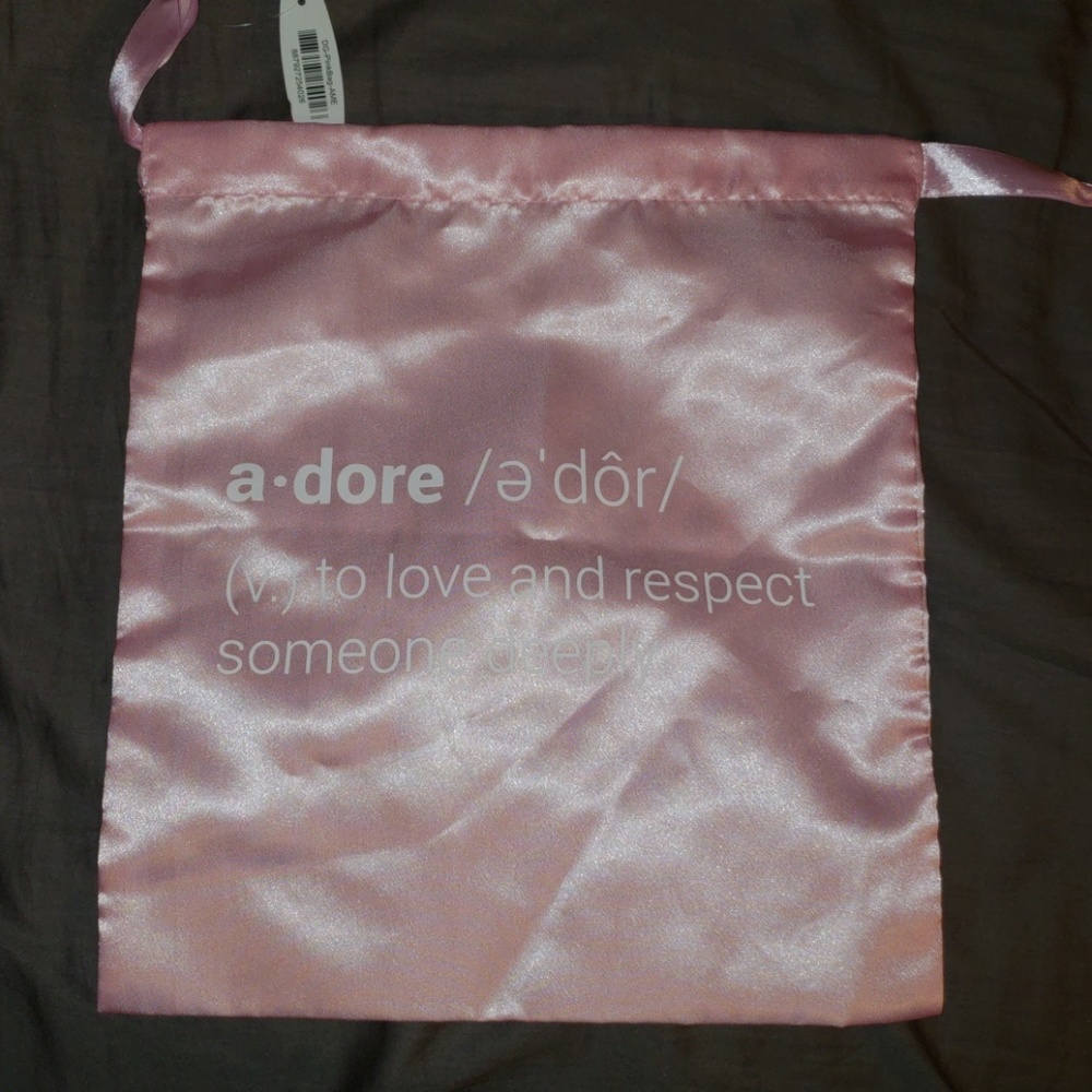 Lingerie Bag! Read Description!